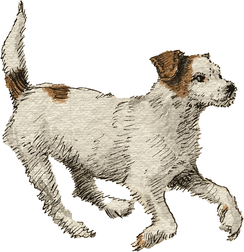 William Waterfield's fox terrier Prickle